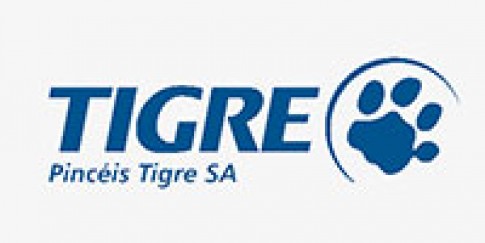 PINCEIS TIGRE